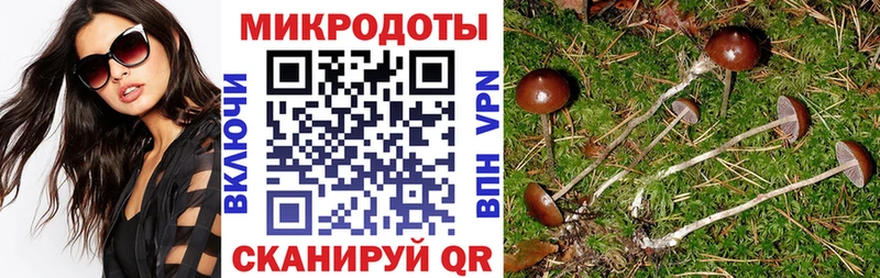 Галлюциногенные грибы Cubensis Лосино-Петровский