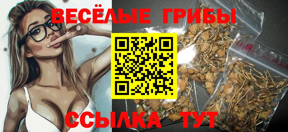 Лосино-Петровский  Псилоцибиновые грибы Psilocybe  Вход с VPN 